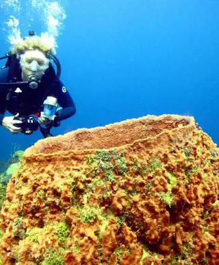 Tauchen vor der Haustür